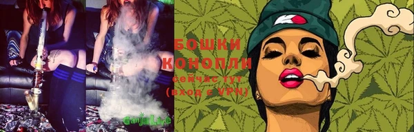 гидропоника Горнозаводск