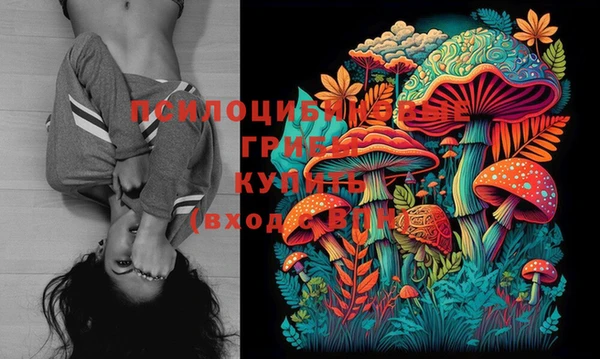 молекула духа Гусиноозёрск