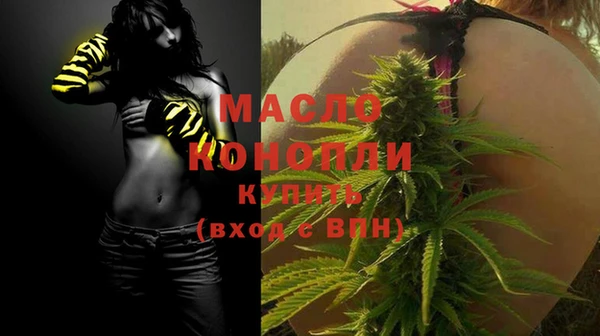 молекула духа Гусиноозёрск