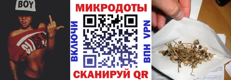 Купить  Палласовка  Галлюциногенные грибы Psilocybe 
